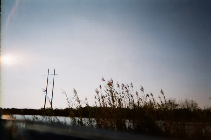 Reeds and two power-line poles against a pale sky beside water