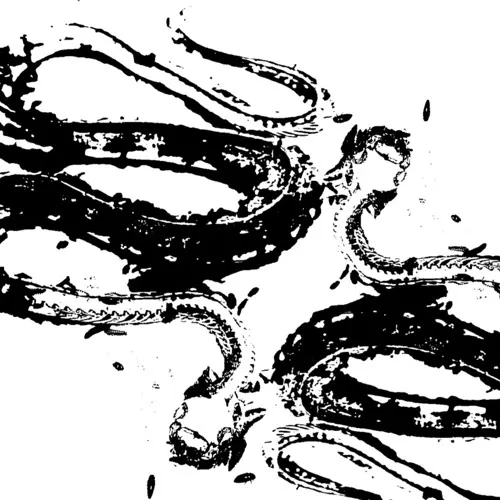 Black ink shapes of serpentine skeletons on white