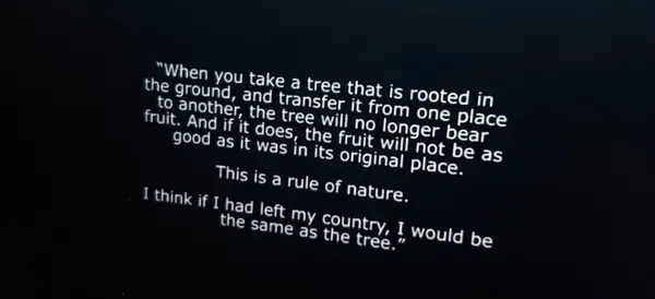 Text: "When you take a tree that is rooted in the ground, and transfer it from one place to another, the tree will no longer bear fruit. And if it does, the fruit will not be as good as it was in its original place. This is a rule of nature. I think if I had left my country, I would be the same as the tree."