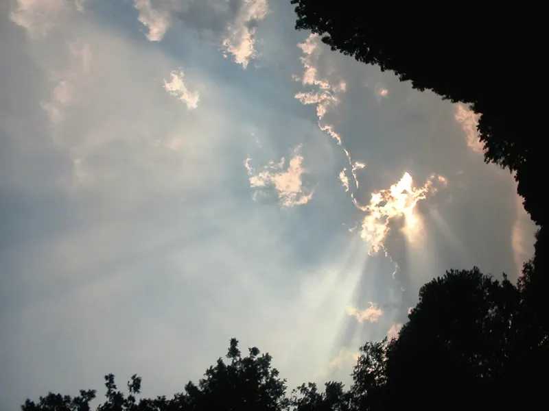 Sunbeams breaking through clouds above dark treetops